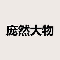 庞然大物是什么意思