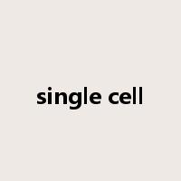single cell是什么意思