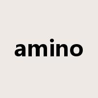 amino是什么意思