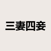 三妻四妾是什么意思