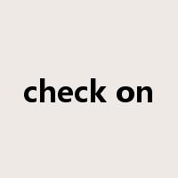 check on是什么意思