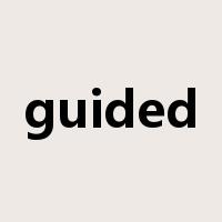guided是什么意思