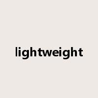 lightweight是什么意思