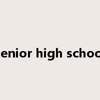 senior high school是什么意思