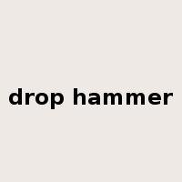 drop hammer是什么意思