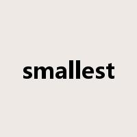 smallest是什么意思