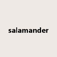 salamander是什么意思