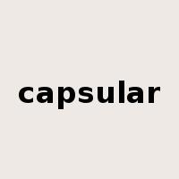 capsular是什么意思