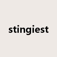 stingiest是什么意思