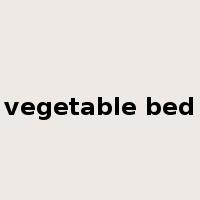 vegetable bed是什么意思