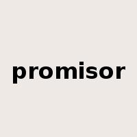 promisor是什么意思