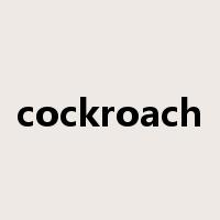 cockroach是什么意思