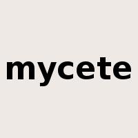 mycete是什么意思