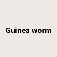 Guinea worm是什么意思