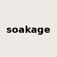 soakage是什么意思