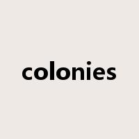 colonies是什么意思