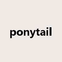 ponytail是什么意思