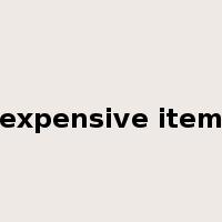 expensive item是什么意思