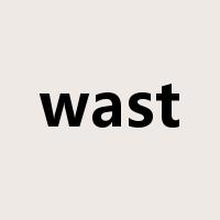 wast是什么意思