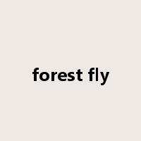 forest fly是什么意思
