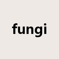 fungi是什么意思