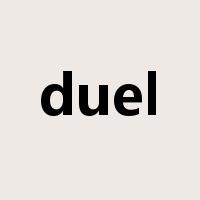 duel是什么意思
