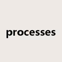 processes是什么意思
