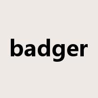 badger是什么意思