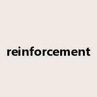 reinforcement是什么意思