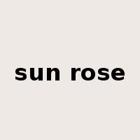 sun rose是什么意思