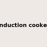 induction cooker是什么意思
