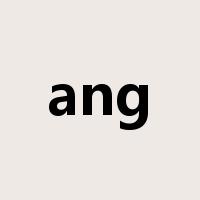 ang是什么意思