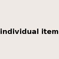 individual item是什么意思