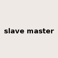 slave master是什么意思