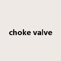 choke valve是什么意思