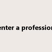 enter a profession是什么意思