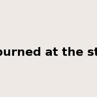 be burned at the stake是什么意思