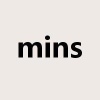 mins是什么意思