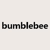 bumblebee是什么意思