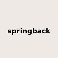 springback是什么意思