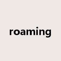 roaming是什么意思