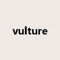 vulture是什么意思