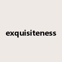 exquisiteness是什么意思