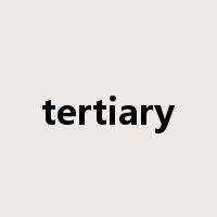 tertiary是什么意思