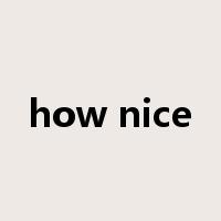 how nice是什么意思
