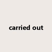 carried out是什么意思