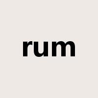 rum是什么意思