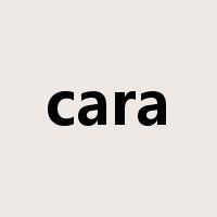 cara是什么意思