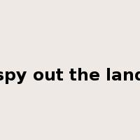 spy out the land是什么意思