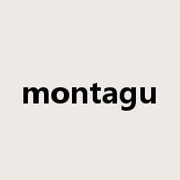 montagu是什么意思